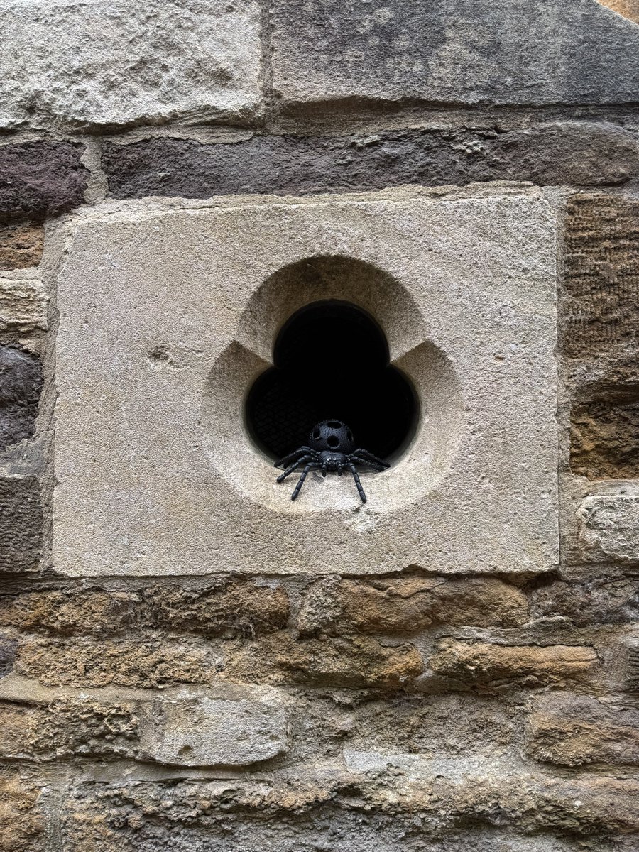 Help! 🕷️😱 #TinyWindowTuesday