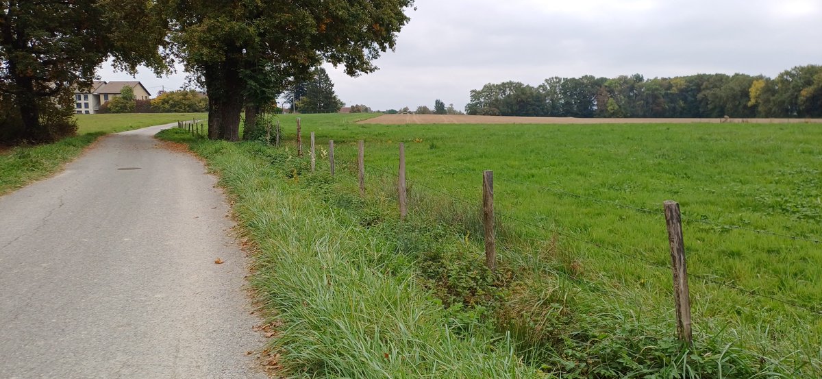 MEZINECREATION's tweet photo. GM !
the défi - Jour 157/58 - 1 Jour / 1 Run / 1 photo
12 et 14/10/2025 Poids 87 kg / 12.41 km / 964,76 $CAT
VIVE LE MODE PASSiiiiiiiF !
Merci la TEAM !
#FlyWithUs
@The_Life_Bomb
https://t.co/KBH2JJp4gY
#M2E #TLBlover #TLBRunner https://t.co/l4SRVW4pi0