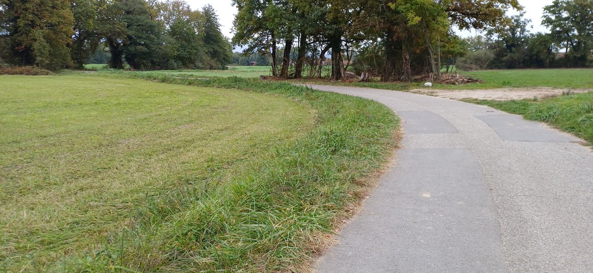 MEZINECREATION's tweet photo. GM !
the défi - Jour 157/58 - 1 Jour / 1 Run / 1 photo
12 et 14/10/2025 Poids 87 kg / 12.41 km / 964,76 $CAT
VIVE LE MODE PASSiiiiiiiF !
Merci la TEAM !
#FlyWithUs
@The_Life_Bomb
https://t.co/KBH2JJp4gY
#M2E #TLBlover #TLBRunner https://t.co/l4SRVW4pi0