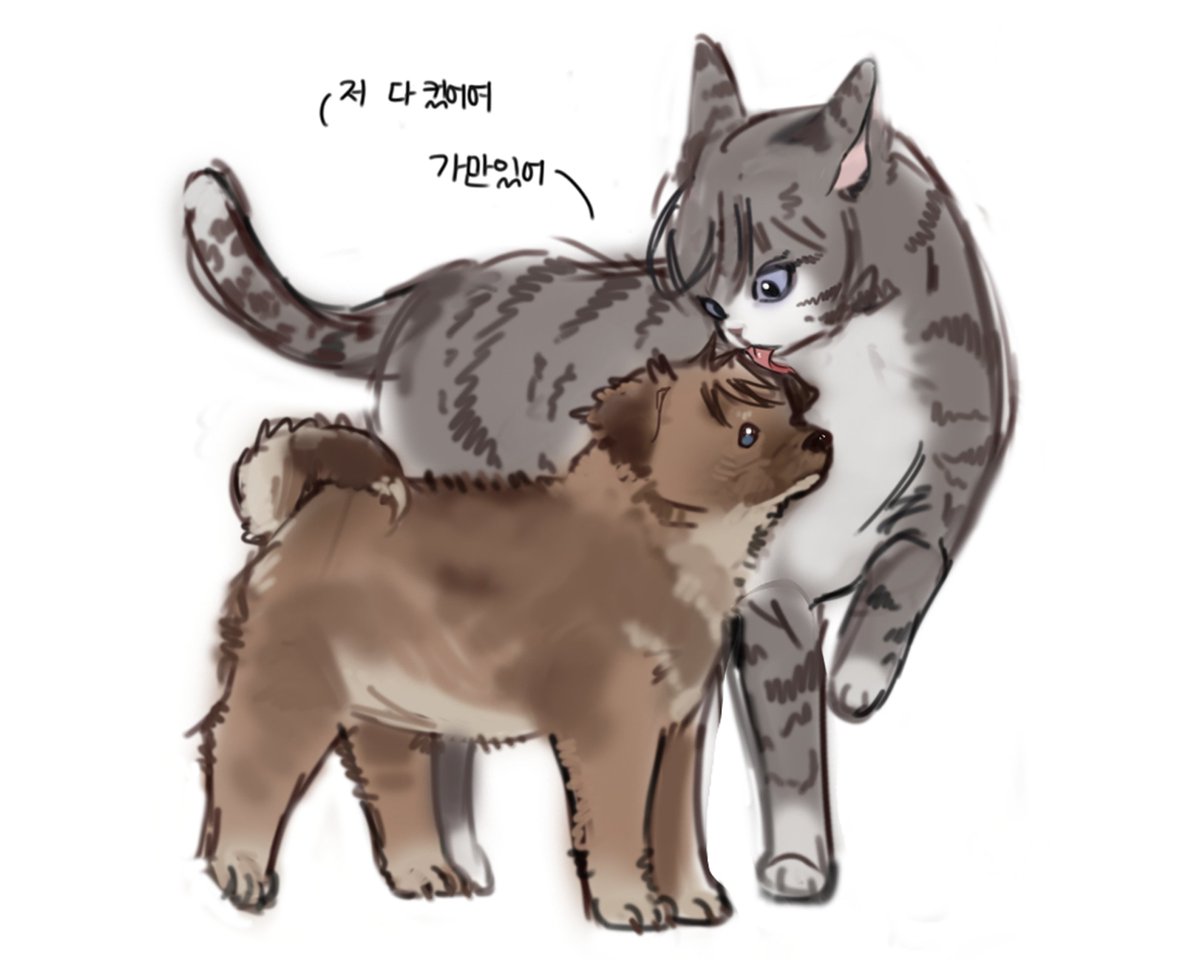 name_mo_haji's tweet photo. 🐶🐱 다카사 https://t.co/rIgcfhfvIZ