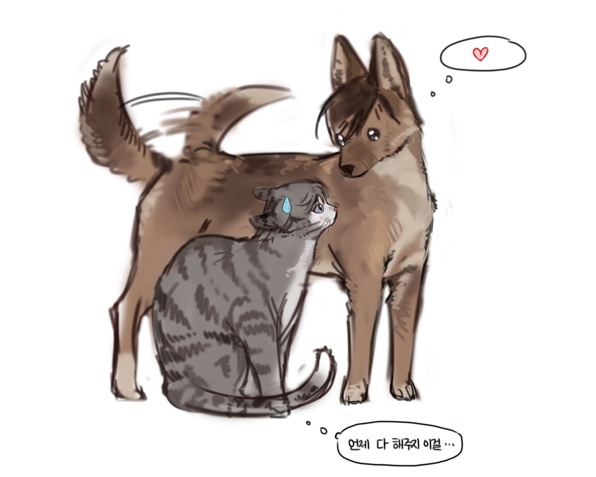 name_mo_haji's tweet photo. 🐶🐱 다카사 https://t.co/rIgcfhfvIZ