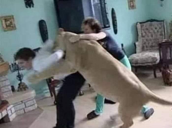 gente con casas azul verde menta (@genteconcasas) on Twitter photo 