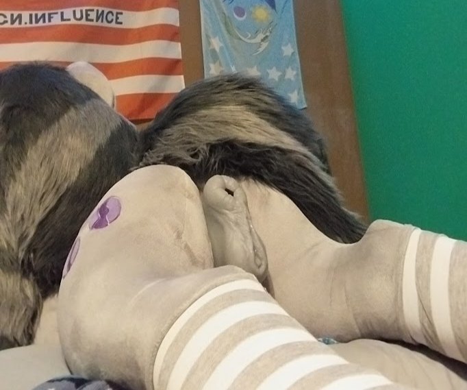 Lecker_Cidre tweet media