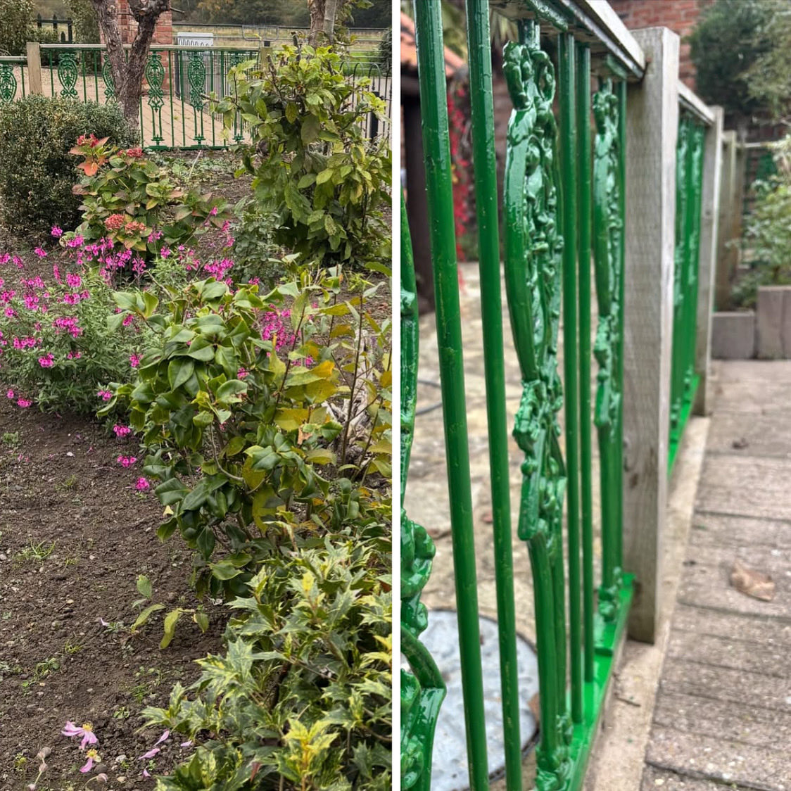 Project fence painting has started beautiful buckingham green 💚
A wonderful backdrop colour for plants 
💚 #peace #calm #balance #greenvibes #greenfingers #GreenIsThePlan