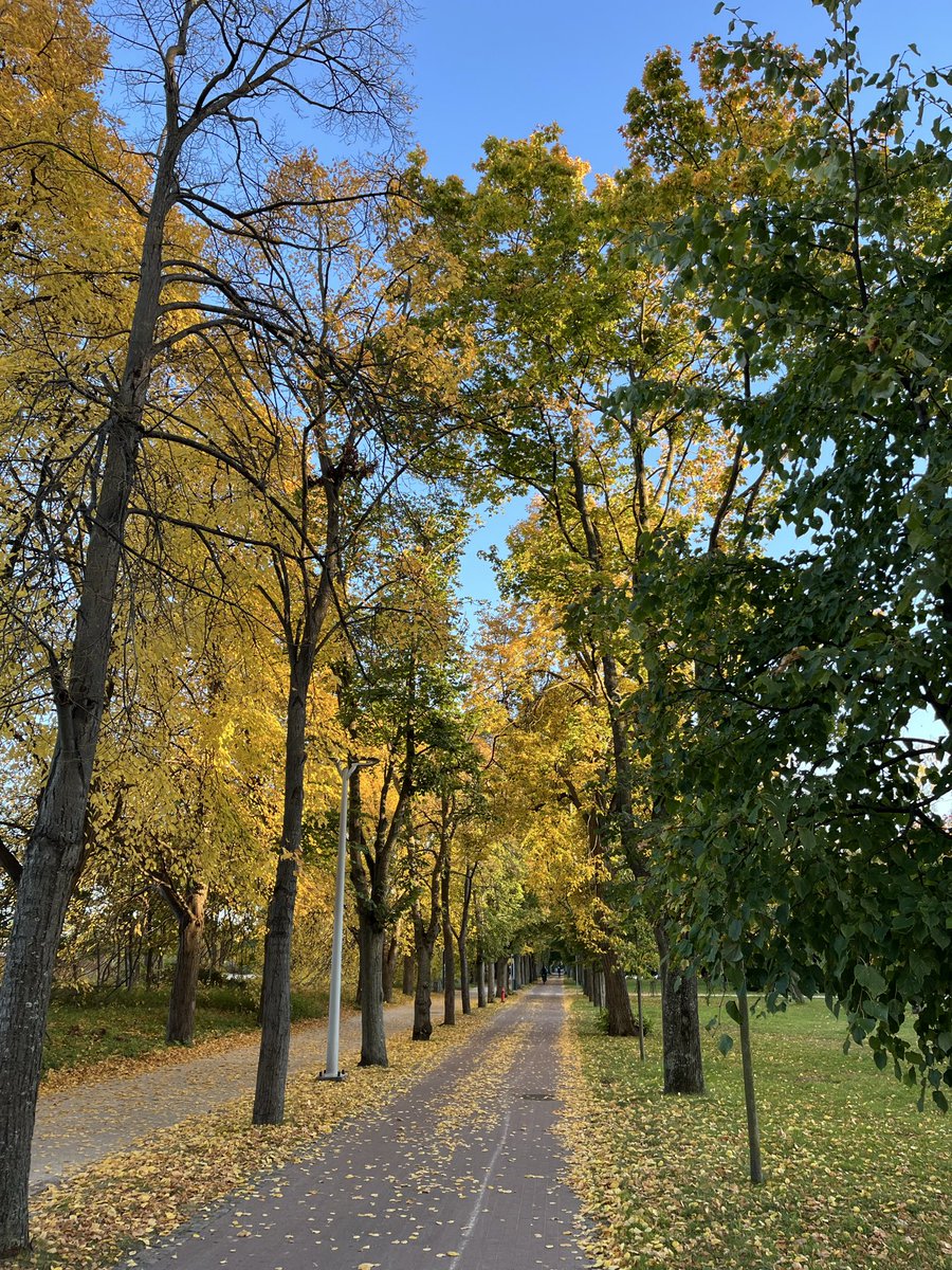 Ulrich Boren tweet media