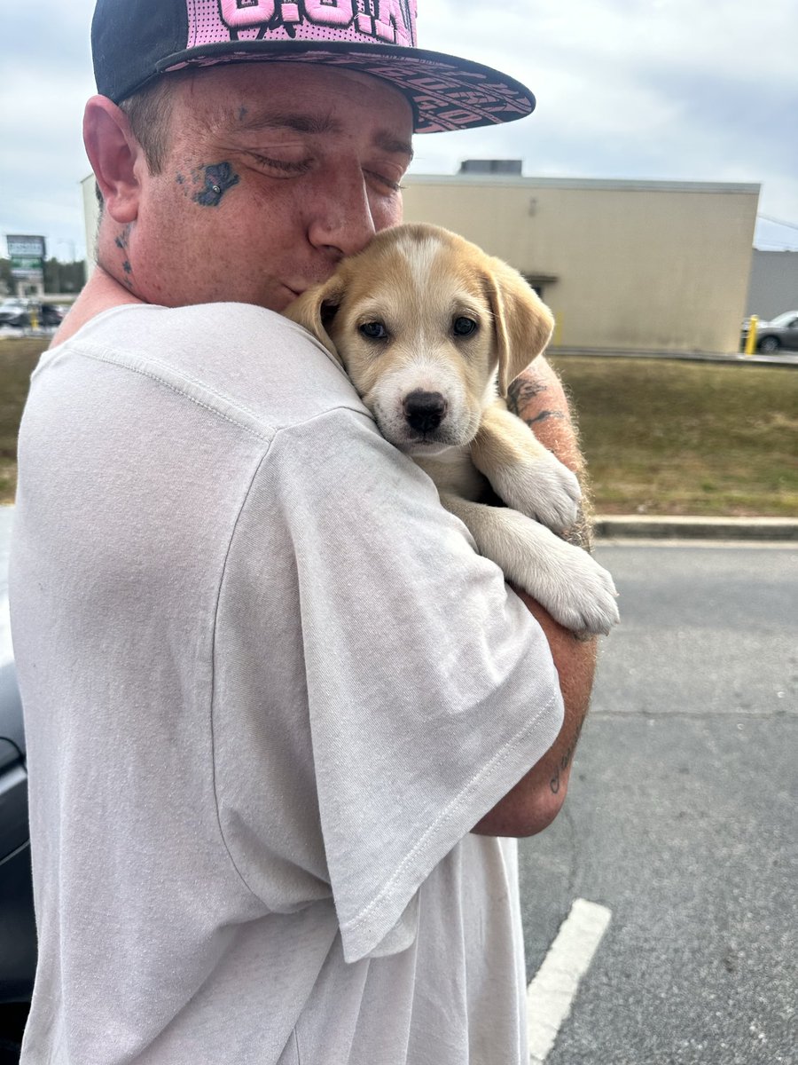 Will Cyrus tweet media