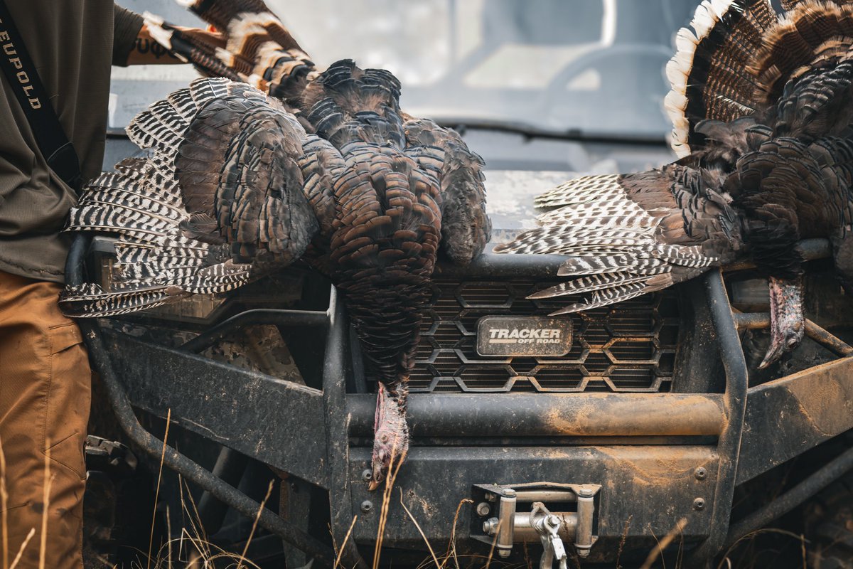 Special hunt this last weekend. Got to go with son Trent as he guided his girlfriend on her first hunt ever. Andrea made a great shot at 180 yards with a <a href="/LeupoldOptics/">Leupold Optics</a> patrol scope. Trent also got a turkey right afterwards for a special double.
<a href="/ScentBlocker/">ScentBlocker</a> 
<a href="/TeamHornady/">Hornady</a>