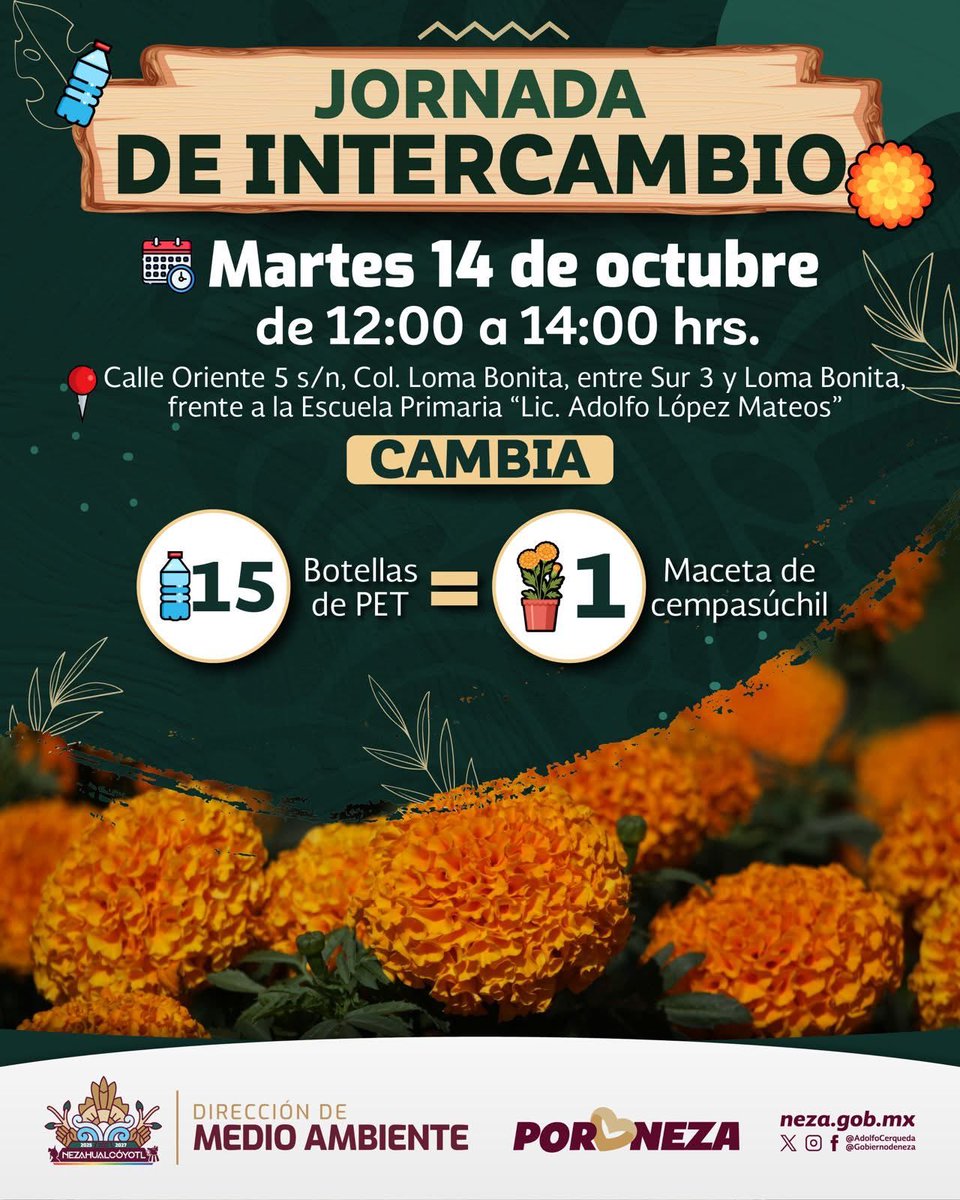 GobNeza's tweet photo. 🌼 ¡La Dirección de Medio Ambiente te invita hoy!

Participa en la Jornada de Intercambio ♻️
✨ Entrega 15 botellas de PET y recibe una maceta de cempasúchil 🌸

🕛 De 12:00 a 14:00 horas

Con el ❤️ por nuestras #Tradiciones y por un #NezaMásVerde 🍃 https://t.co/nKK9oF1Uoz