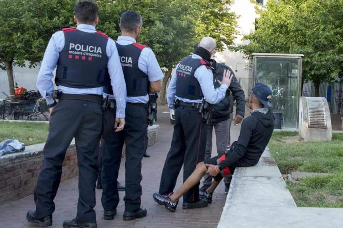 El 83% dels detinguts per robatori amb violència són immigrants.

El 87% dels detinguts per intent d'okupació són immigrants.
 
El 73% dels detinguts per agressió sexual són immigrants.

El 91% dels detinguts a Barcelona per furt són immigrants.