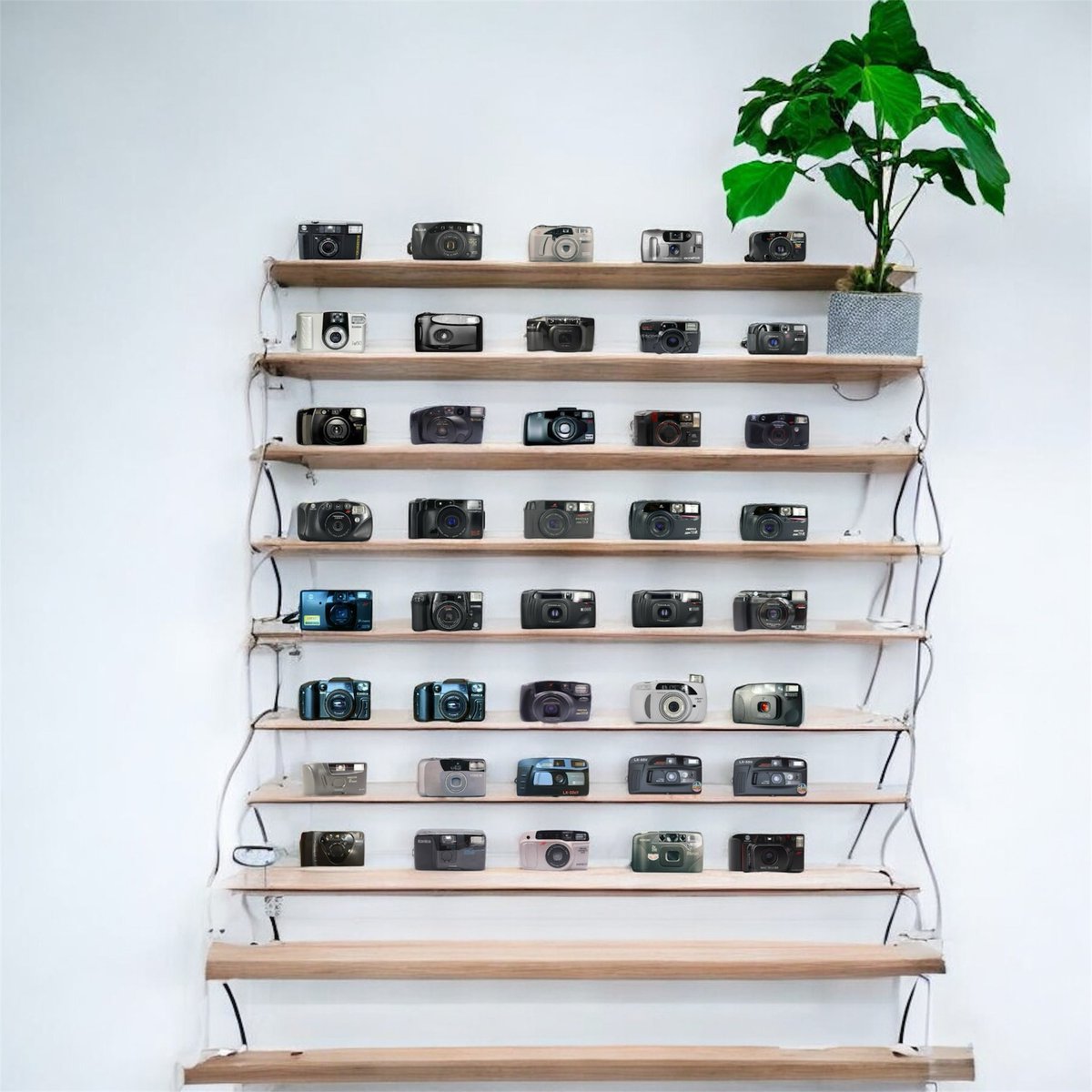 lalalongfilm's tweet image. 🚨𖦹˚ #กล้องฟิล์ม ล็อตใหม่ มือใหม่ก็ใช้สบาย 40++ ตัว 🎞️
ใกล้สิ้นปี ใครมีแพลนเที่ยว อย่าลืมพกกล้องฟิล์มเก็บโมเมนต์ 🏞️🌃 ˚𖦹｡⋆☆

˚୨୧⋆｡⋆ ราคาหลักร้อยไม่ถึงหลักพันเหมือนเดิม ⋆｡⋆୨୧˚
📅 นัดหมาย 15.10.68 เวลา 20.00 เริ่มลงในทวิต

📌 ส่งฟรีทุกเครื่อง ไม่มีบวกเพิ่ม!…