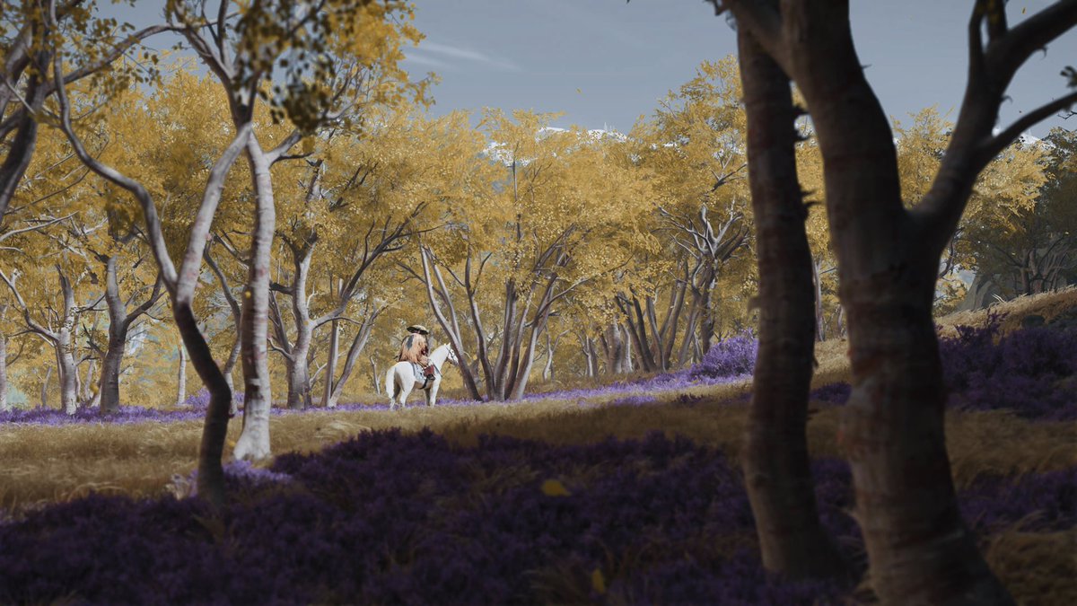 #GhostofYotei 
#VirtualPhotography #PhotoMode #PSBlog #PSshare