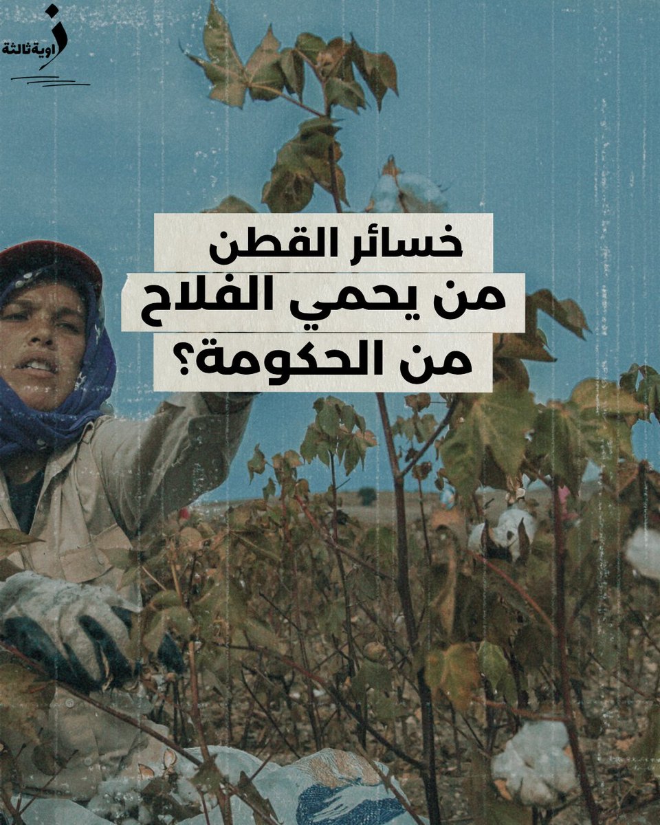 القطن المصري يذبل في صمت...
خسائر فادحة، إنتاج ضعيف، ومزارعون يبيعون بالخسارة أو لا يبيعون أصلًا.
في موسم 2025، لم تحمِ الدولة "ذهبها الأبيض"... ولا من زرعه.

zawia3.com/cotton-season/