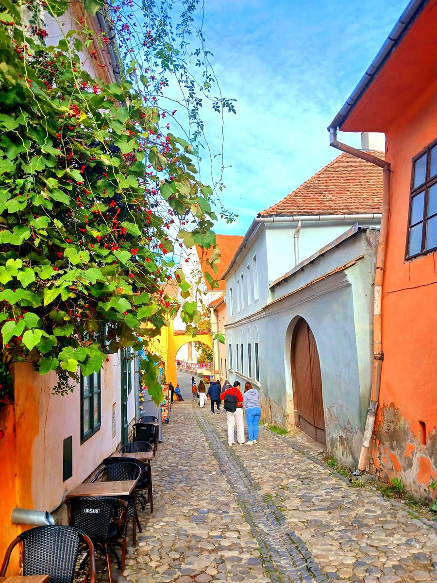 Travel_2Romania's tweet photo. O zi minunată de Octombrie, din Cetatea Medievală!❤️🏰 Sighișoara #România 📷 Transilvania Photobook 

#sighisoara #citadel #piatamuzeului #clocktower  #cityview #bisericamanastirii #colorfulautumn #UNESCO #turnulcositorarilor #oldtown #transilvania #travelblogger https://t.co/6P9XakTyCg