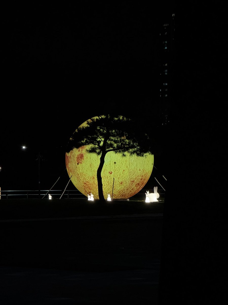 talietarot's tweet photo. 🌕

#탈리타로 #타로카드 #타로 https://t.co/vjrDxcHTLA