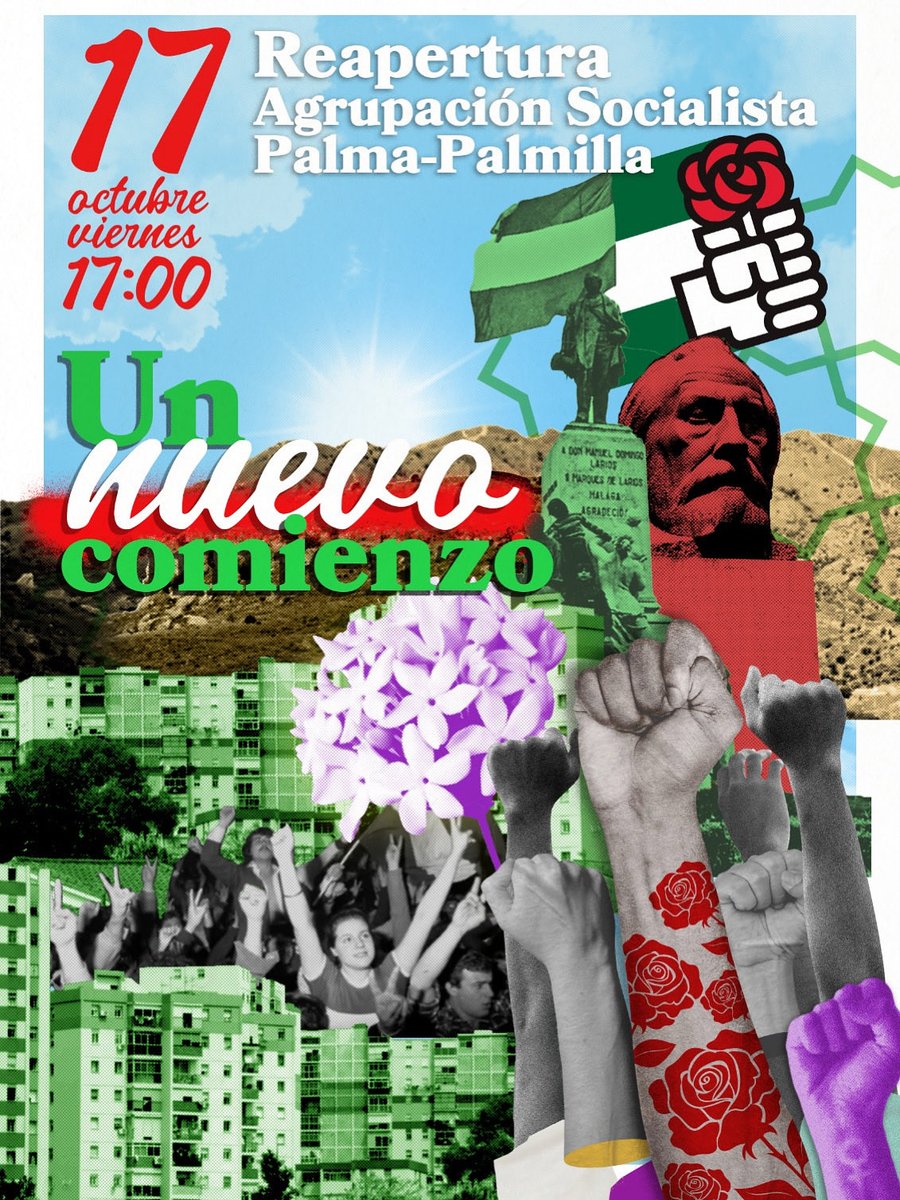 Psoe Palma Palmilla tweet media