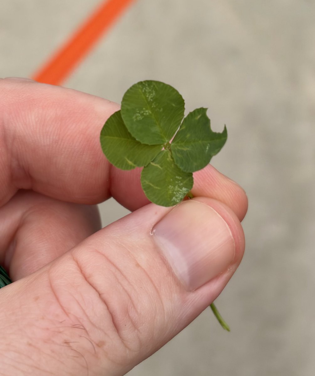 Mike Rundle tweet media