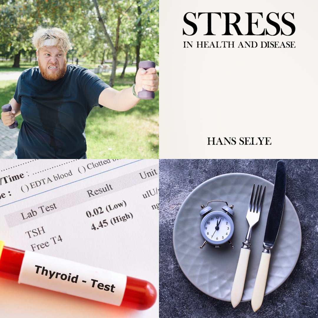 lowmegatron's tweet image. Stress causes hidden hypothyroidism 🧵
Stress is anything that raises energy demand beyond what the body can supply.
When those demands aren’t met, the metabolic rate slows through effects on thyroid hormones.
These changes often go undetected in blood tests.
