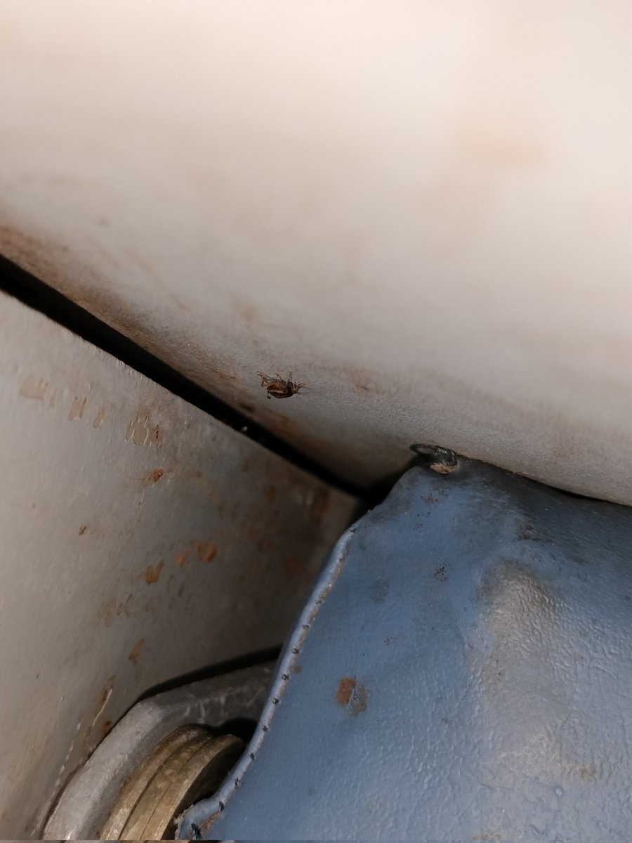 Suryansh tweet media