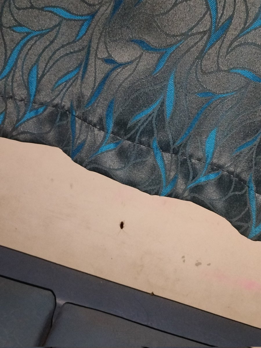 Suryansh tweet media