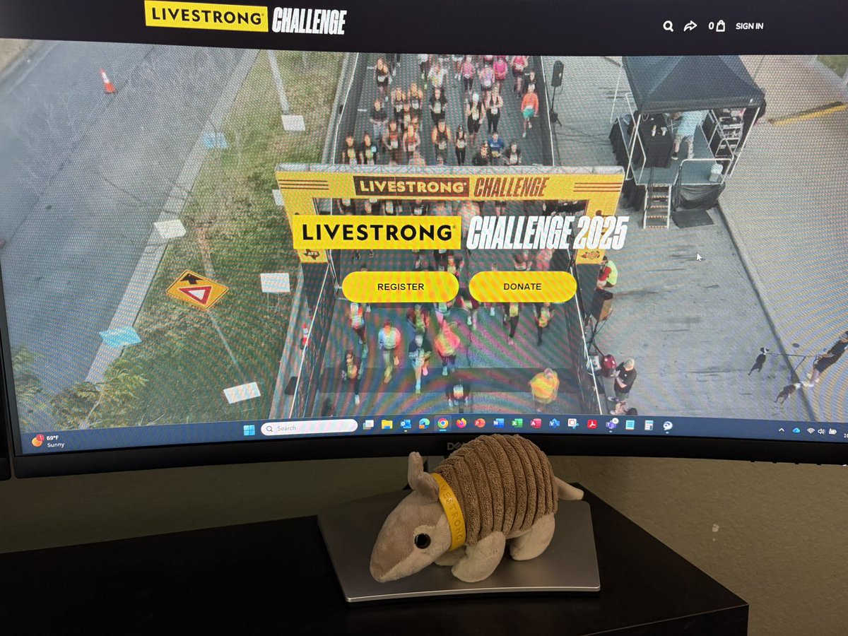 Sparkchaser tweet media