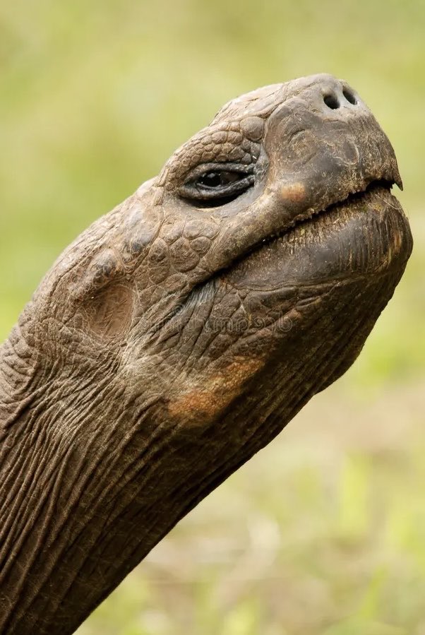 Figured out what this picture reminded me of...