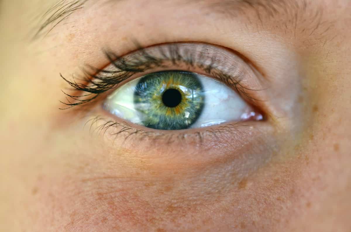 PsyBlog's tweet image. The Personality Trait That Shapes Mental Health -- Beyond Neuroticism (M) spring.org.uk/2025/10/person…