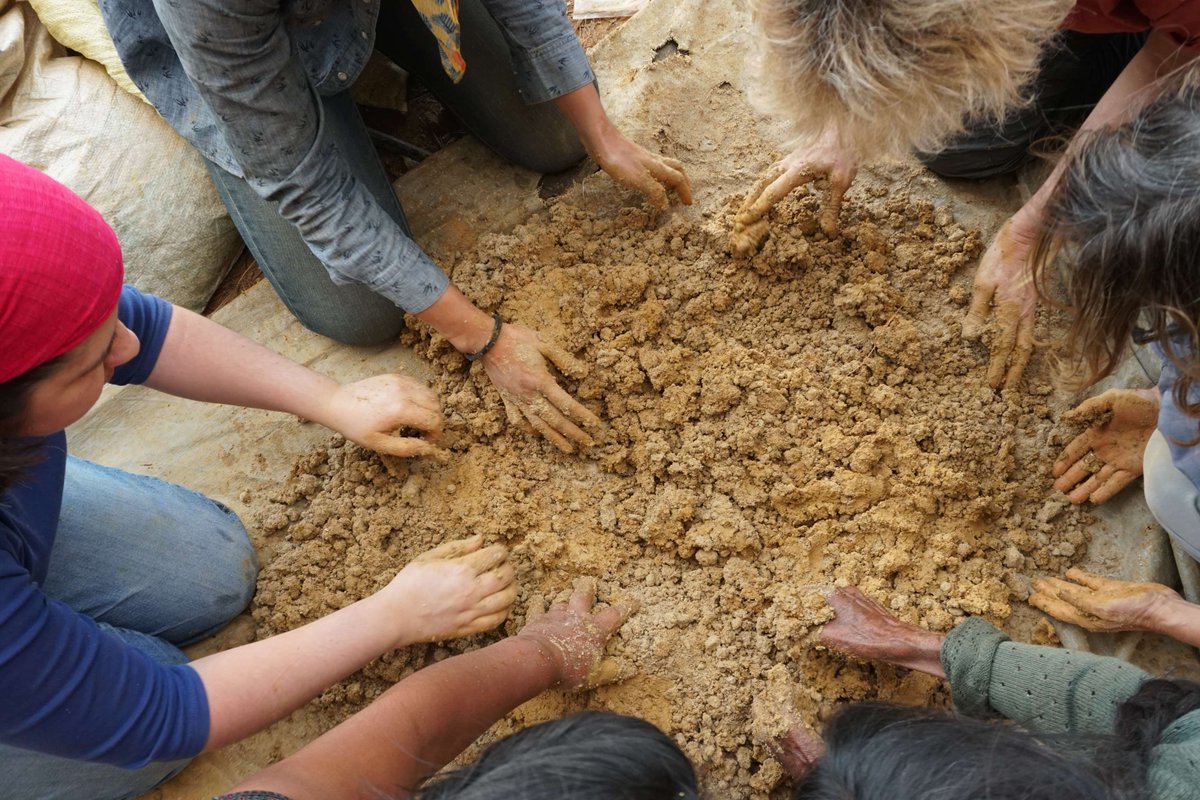 ProgramaVACA tweet media