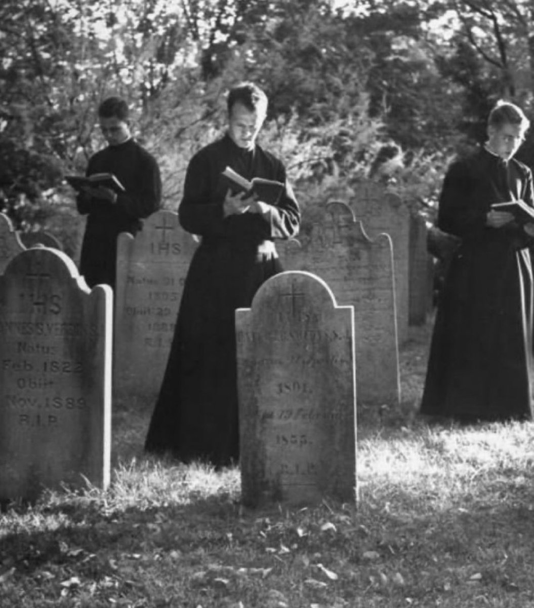 That Trad Gal tweet media