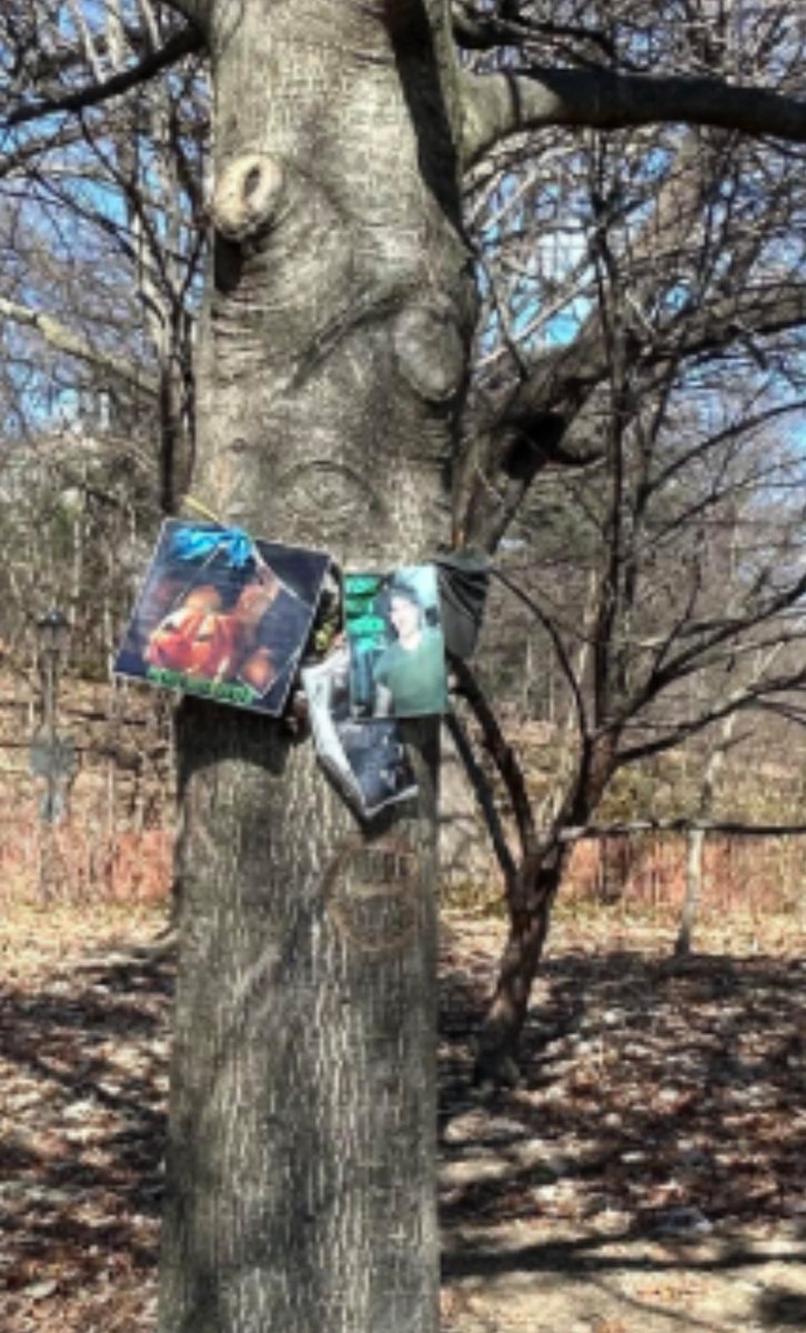 El memorial es un roble plantado en 2011 en su memoria, una placa en un banco cercano y objetos dejados por los Fans , como una calavera, una púa de guitarra y una vela <a href="/LunaOlivia/">Olivia Luna ✨</a> <a href="/ruidoblancofm/">Ruido Blanco FM ⚡️</a> #Lunaalaire , hace unos ańos atrás fui a visitarlo , saludos querida 🌙#Ruidonegro