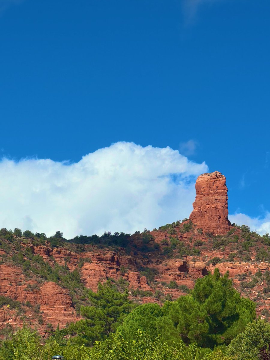 efficacious 🌺 tweet media