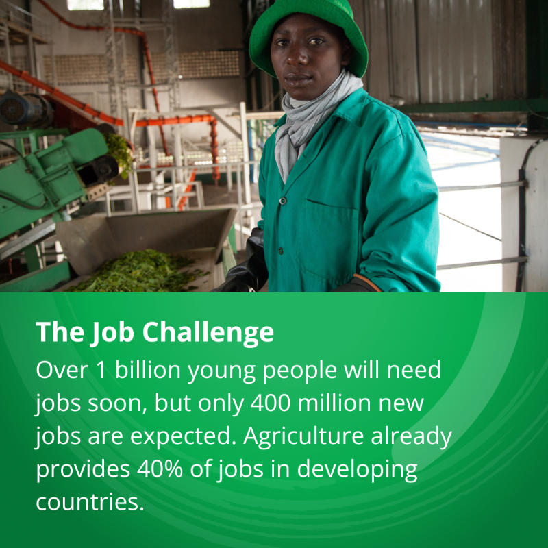 WorldBankGroup's tweet photo. AgriConnect, a @WorldBank initiative to turn small-scale farming into an engine of lasting growth, job creation, and food security. 

Learn more. #WBGMeetings