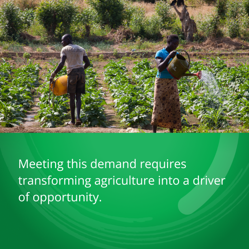 WorldBankGroup's tweet photo. AgriConnect, a @WorldBank initiative to turn small-scale farming into an engine of lasting growth, job creation, and food security. 

Learn more. #WBGMeetings