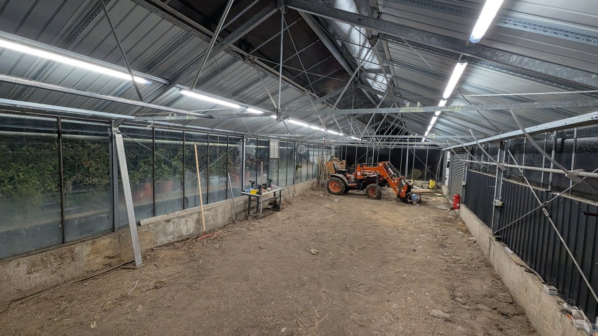 BackupSRT tweet media