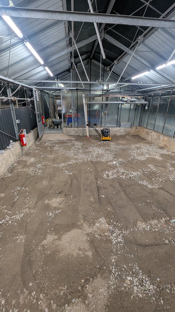 BackupSRT tweet media