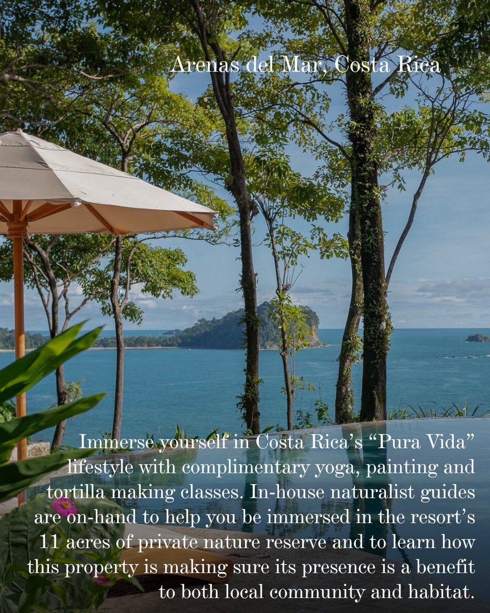 Stay Beyond Green tweet media