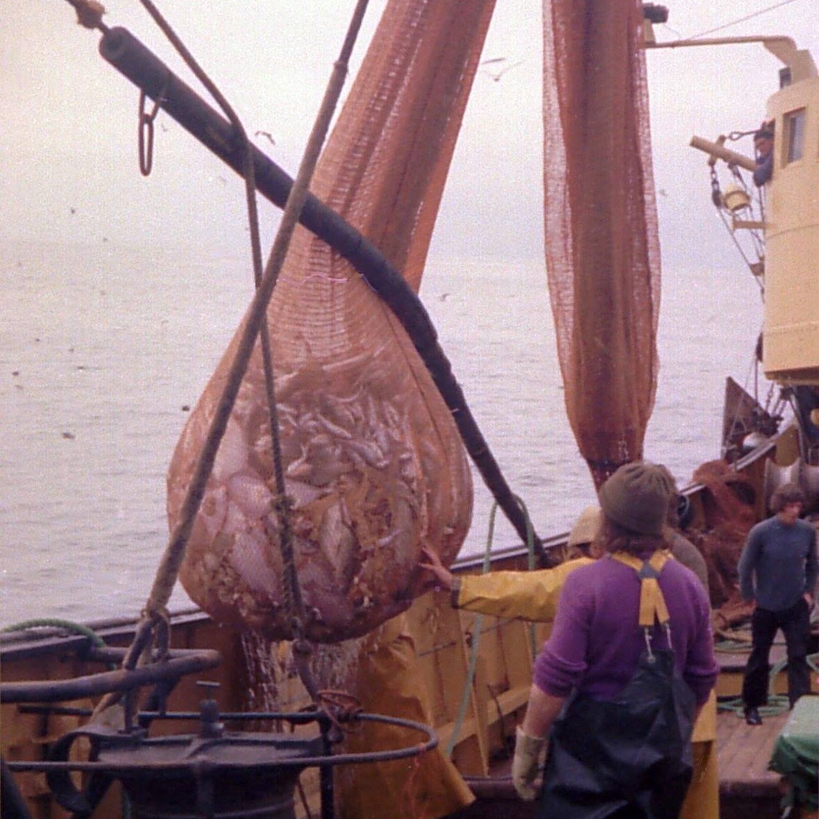 SS_Explorer_PS's tweet photo. As a fisheries research vessel, the SS Explorer was involved in trawling, an industrial fishing technique where nets, or trawls, are towed through the water to catch fish. 🐟https://t.co/ebdQuv8Yu0 #leith #Edinburgh #History https://t.co/20v656TVbG