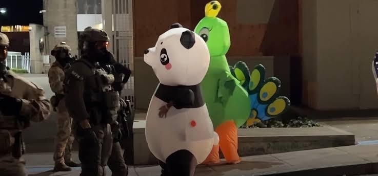 quorum_mx's tweet image. 📣🚨✊🏾🐸🦄🦈🐦 #Ranas, #pájaros, #tiburones y #unicornios son algunos de los #animales inflables que han salido a las #calles de #Portland para manifestarse contra las #redadas anti #migrantes y del #ICE.

Las #movilizaciones se han concentrado frente al #edificio de ICE y son…