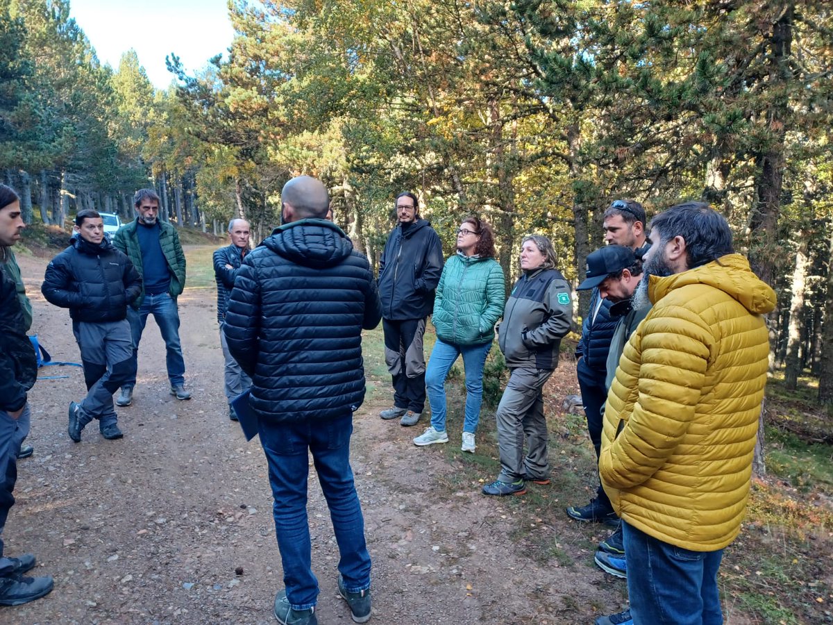 RàdioSeu tweet media