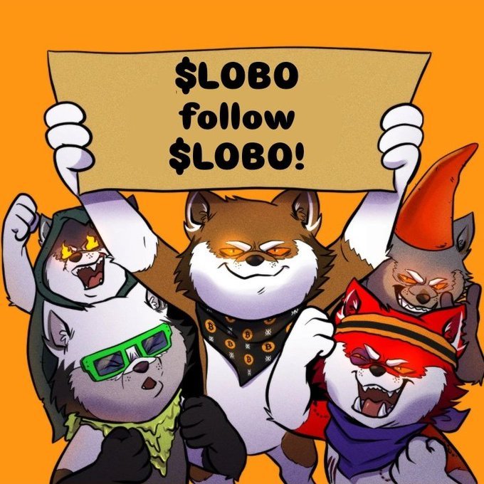 Satoshi_LOB0's tweet photo. The Hunt never sleeps.
howling louder, and keeping the hunt alive.
following all the wolves
follow back
@svs1ogvamp @Satoshithewolf @Klownsy1 @runesbitcoin
@Santos188091521 @hawknetto
$LOBO #BITCOIN #RUNES
#TOTHEMOON #Runestone #memecoin #bloco840000 #1000X #onsats
@lobothewolfpup
