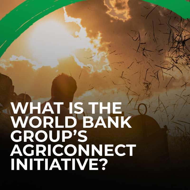 WorldBankGroup's tweet photo. AgriConnect, a @WorldBank initiative to turn small-scale farming into an engine of lasting growth, job creation, and food security. 

Learn more. #WBGMeetings