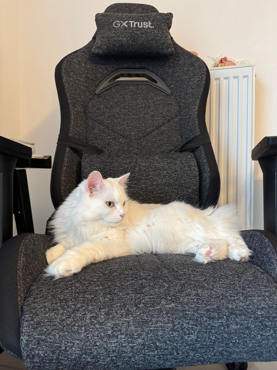 GohanBlog's tweet image. « La chaise gamer qui ne fait pas “racing” — mais qui sait rester classe au bureau ✅ »
👉 Découvrez mon avis sur la Trust Ruya Fabric : confort, durabilité, style — est-ce le bon compromis ? En tout cas, c'est validé par Neko.
🔗 gohanblog.fr/mon-avis-sur-l…