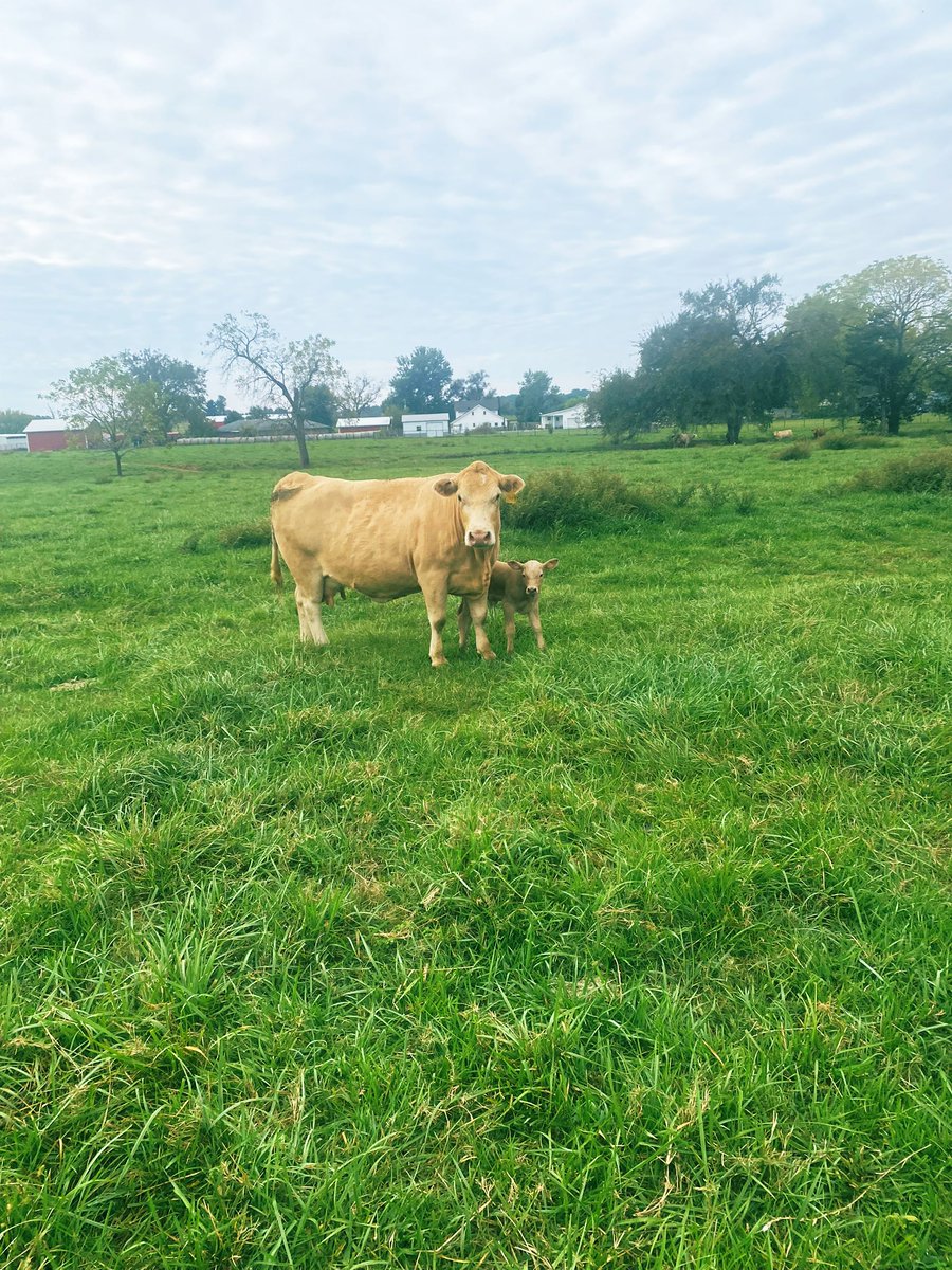 This old girl is almost old enough to vote but she still won’t let u tag her baby hahaha she knows the game and plays it well.