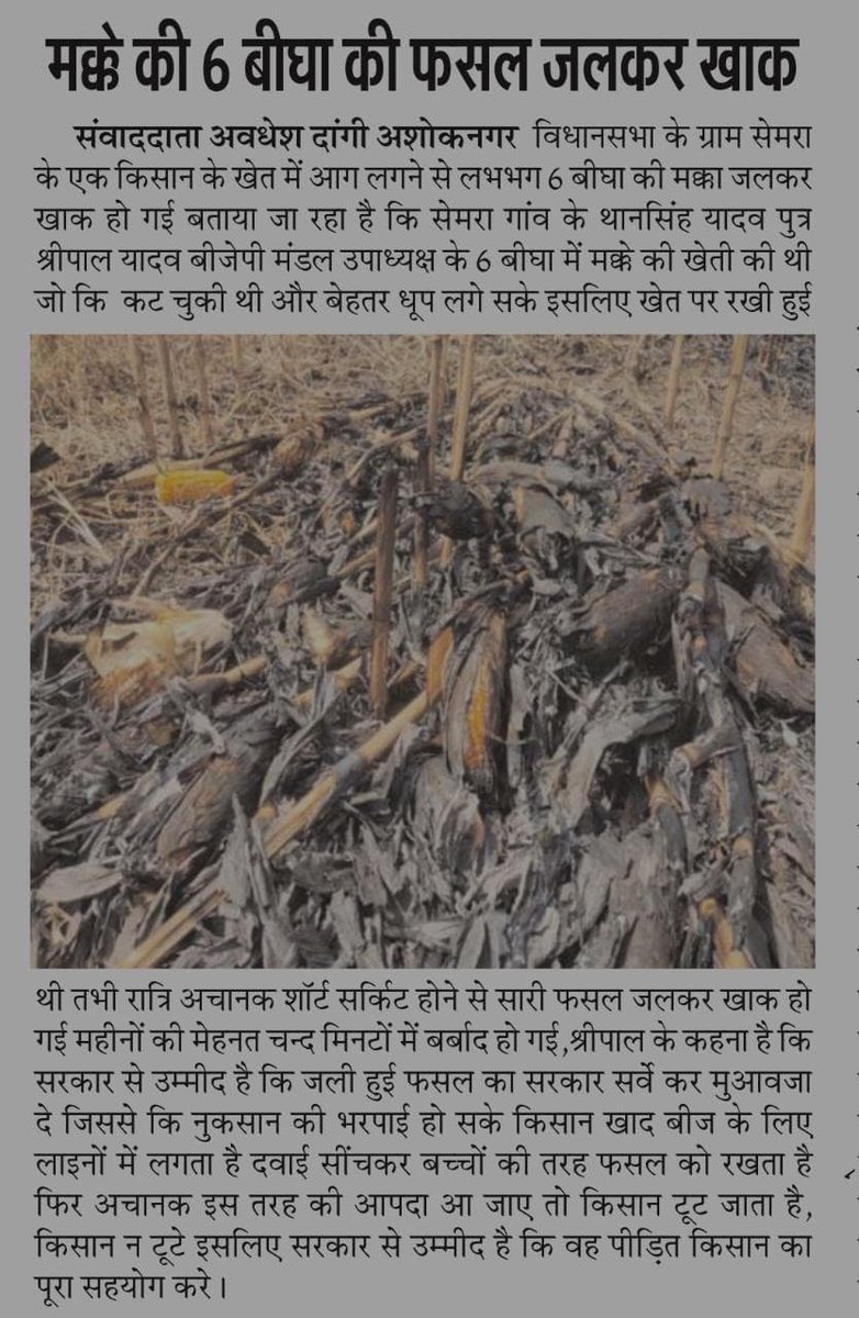 SemraYadav's tweet photo. एक किसान अपने खेत में फसल को बच्चों की तरह तैयार करता है ताकि उसकी फसल अच्छी तरह से तैयार हो सके 
लेकिन ये अपदाए किसानों की मेहनत 😓 पर पानी फेर देती हैं 
सरकार से संभव मदद की आशा करते हैं 
@CMMadhyaPradesh 
@JM_Scindia 
@ChouhanShivraj 
@OfficeofSSC 
@AgriGoI 
@JansamparkMP https://t.co/Go4pkSZUVN