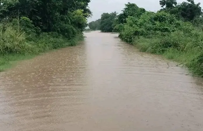 Brown muddy water flows through a narrow channel flanked by dense green vegetation and tall grasses on both sides under overcast sky with no visible structures or people