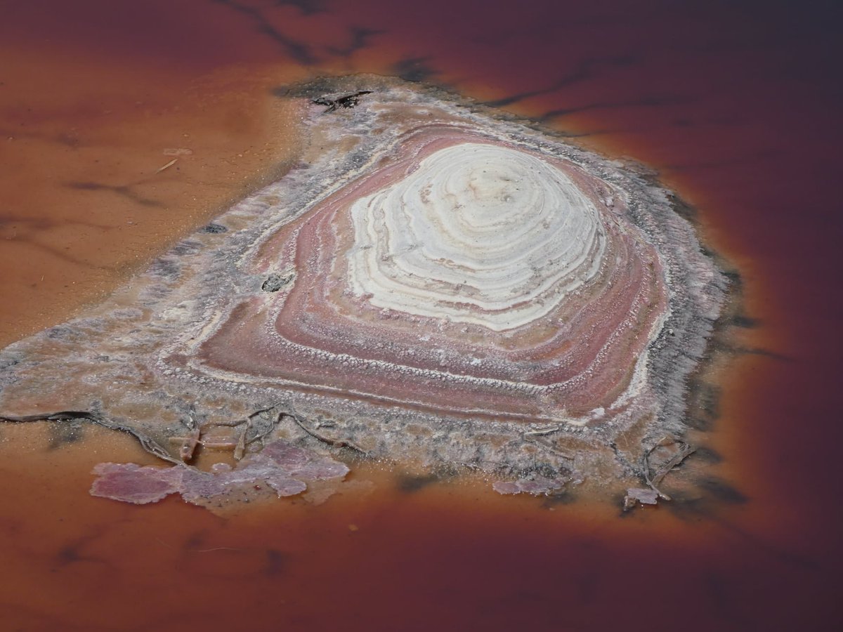 PhotosForTrees's tweet image. A Gotu kinda place 

#tembeakenya #geologyofkenya