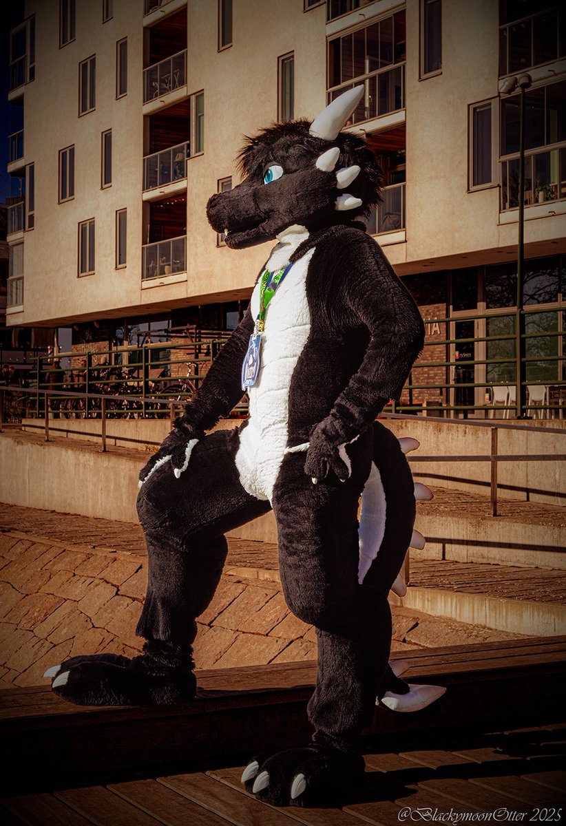DragonRaketh's tweet photo. The heroic pose before going on an adventure! 🫡

📸 @BlackymoonOtter 
#fursuit #furry https://t.co/qfnVN9XEMH