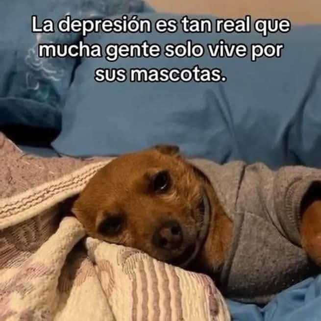 Pensamientos (@frasesimple) on Twitter photo 