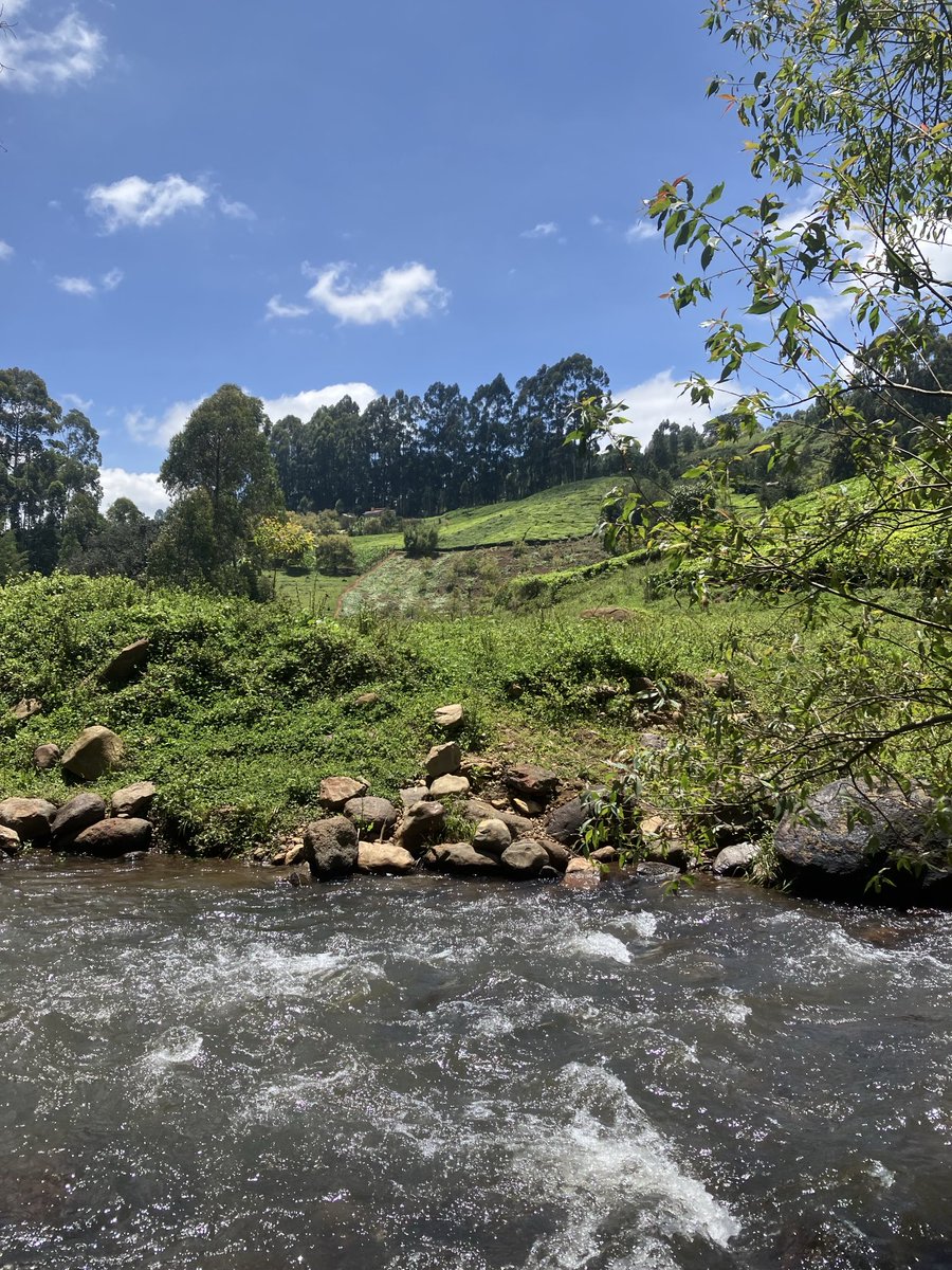 nicholas lowton 🇺🇦 tweet media