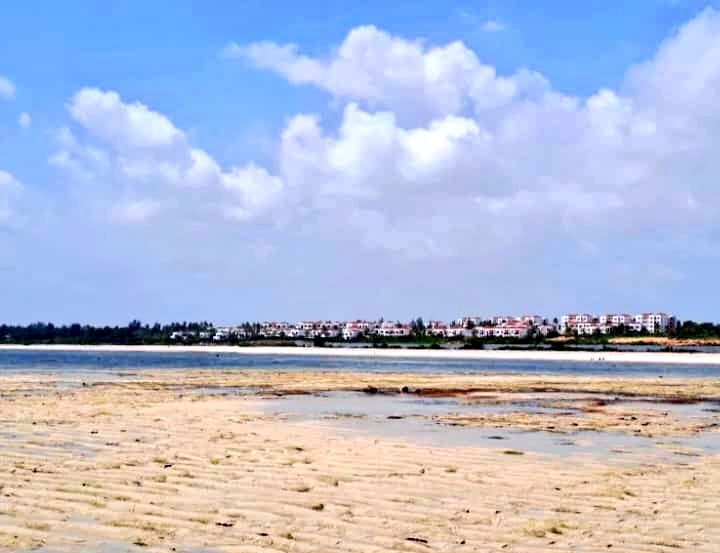 rajuQuire's tweet image. 🏖