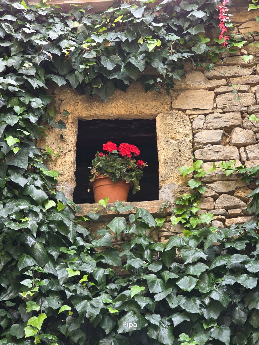 A small window of a charming medieval house.🌺